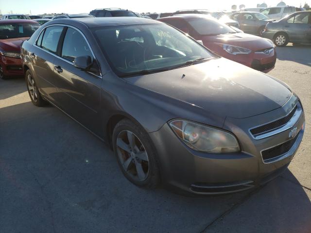 CHEVROLET MALIBU 1LT 2011 1g1zc5eu4bf385613