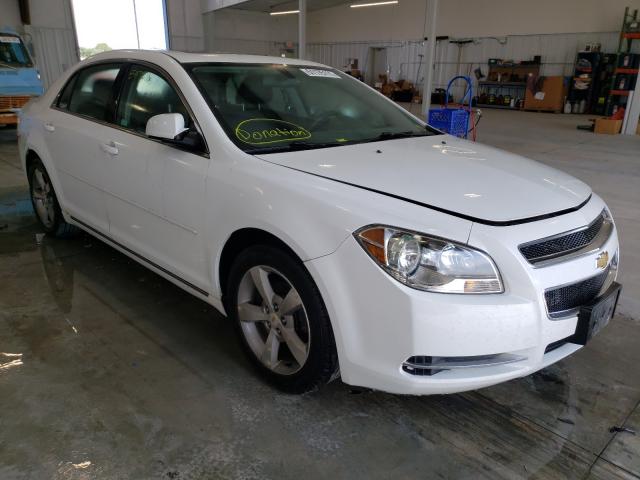 CHEVROLET MALIBU 1LT 2011 1g1zc5eu4bf394389