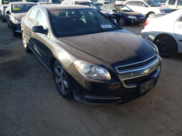 CHEVROLET MALIBU 1LT 2011 1g1zc5eu4bf399558