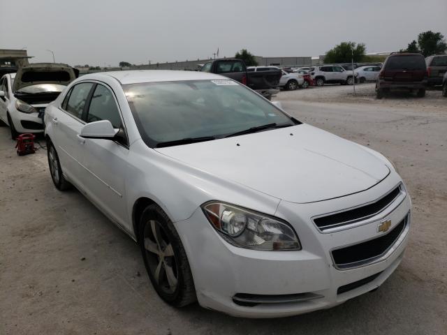 CHEVROLET MALIBU 1LT 2011 1g1zc5eu5bf143400