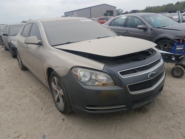 CHEVROLET MALIBU 1LT 2011 1g1zc5eu5bf181273