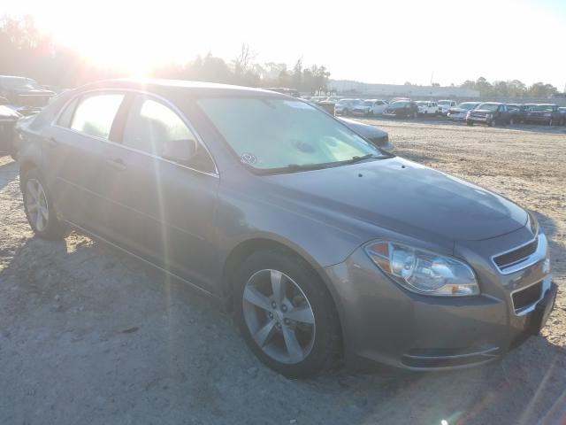 CHEVROLET MALIBU 1LT 2011 1g1zc5eu5bf291434