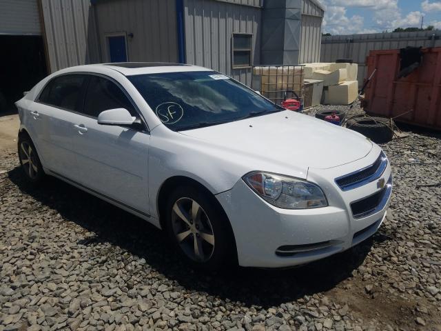 CHEVROLET MALIBU 1LT 2011 1g1zc5eu5bf319314