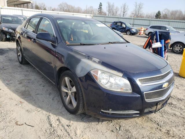 CHEVROLET MALIBU 1LT 2011 1g1zc5eu5bf343001