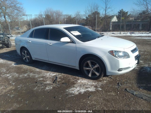 CHEVROLET MALIBU 2011 1g1zc5eu5bf345685