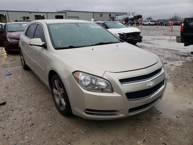 CHEVROLET MALIBU 1LT 2011 1g1zc5eu6bf354542