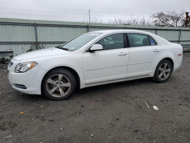 CHEVROLET MALIBU 1LT 2011 1g1zc5eu6bf398864