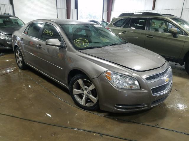 CHEVROLET MALIBU 1LT 2011 1g1zc5eu7bf190248