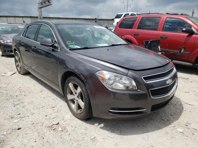 CHEVROLET MALIBU 1LT 2011 1g1zc5eu7bf190671