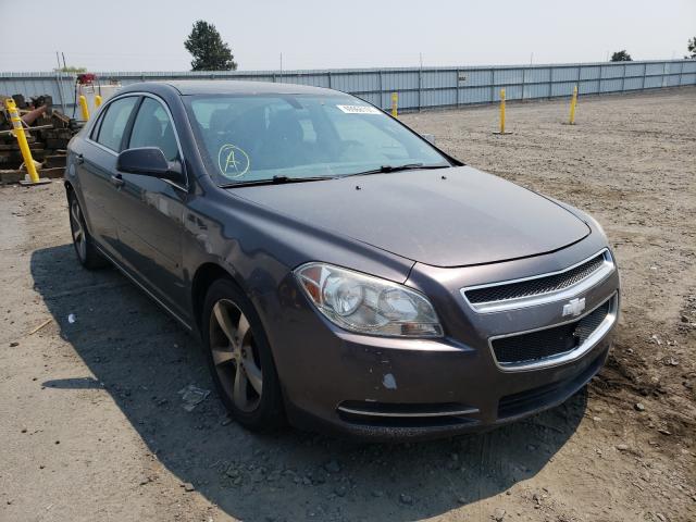 CHEVROLET MALIBU 1LT 2011 1g1zc5eu7bf223099