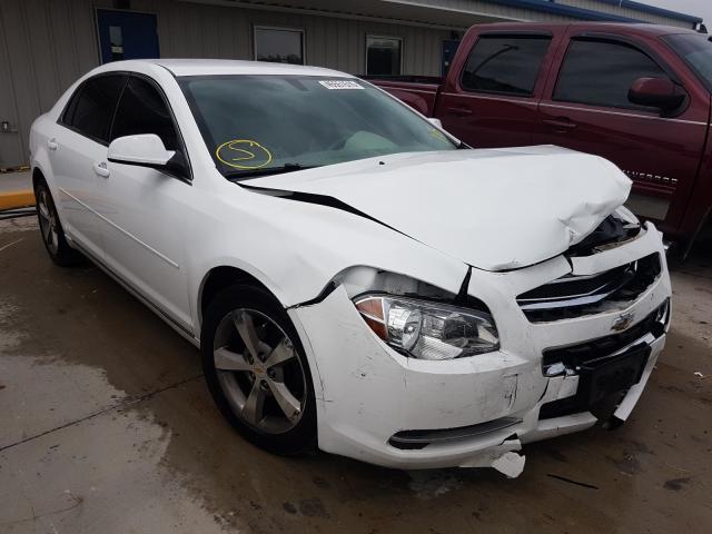 CHEVROLET MALIBU 1LT 2011 1g1zc5eu7bf310453