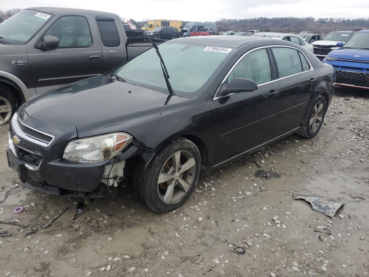 CHEVROLET MALIBU 2011 1g1zc5eu7bf323221