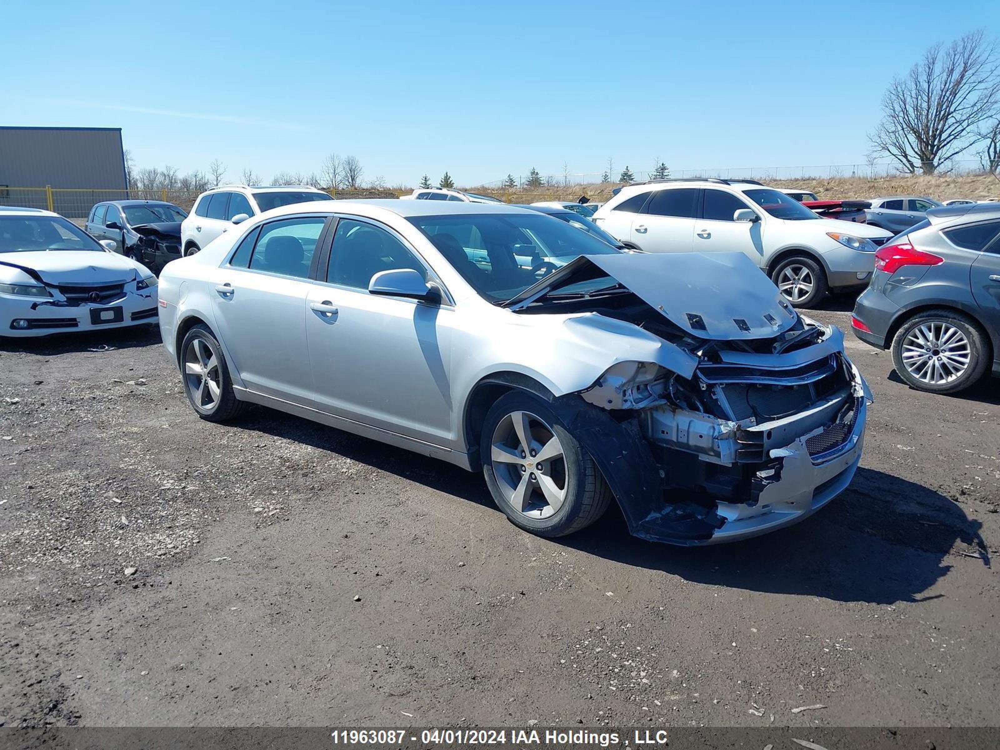 CHEVROLET MALIBU 2011 1g1zc5eu7bf365405