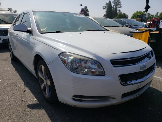 CHEVROLET MALIBU 1LT 2011 1g1zc5eu7bf372743