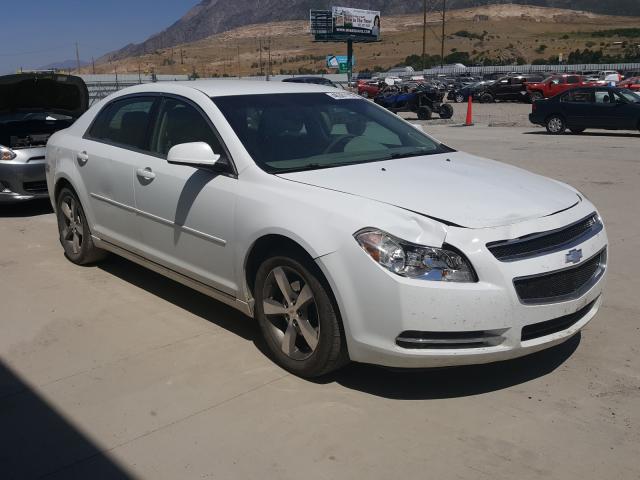 CHEVROLET MALIBU 1LT 2011 1g1zc5eu8bf112335