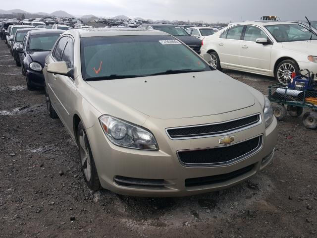 CHEVROLET MALIBU 1LT 2011 1g1zc5eu8bf115249