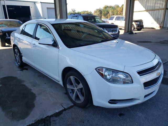 CHEVROLET MALIBU 2011 1g1zc5eu8bf140068