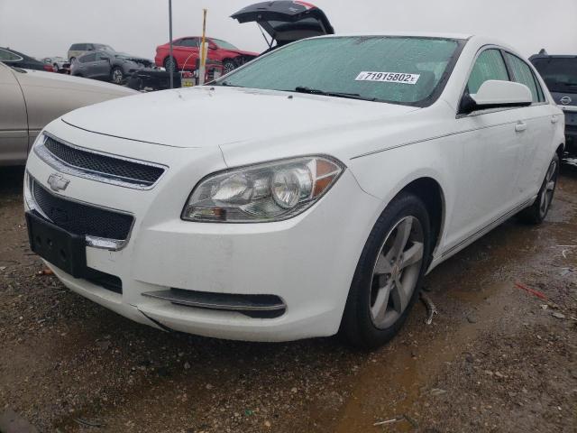 CHEVROLET MALIBU 1LT 2011 1g1zc5eu8bf146601