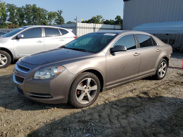 CHEVROLET MALIBU 2011 1g1zc5eu8bf186015