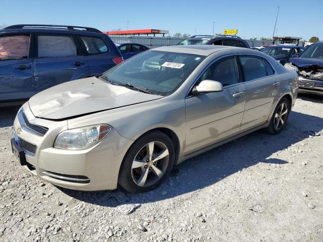 CHEVROLET MALIBU 1LT 2011 1g1zc5eu8bf272943