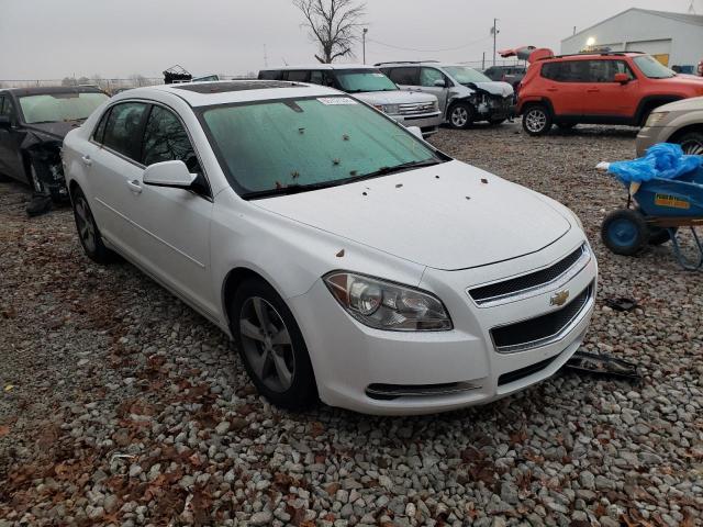 CHEVROLET MALIBU 1LT 2011 1g1zc5eu8bf319193