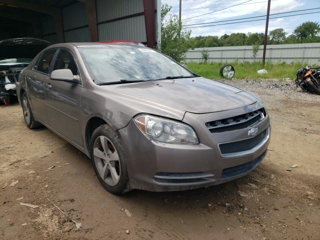 CHEVROLET MALIBU 1LT 2011 1g1zc5eu8bf385985