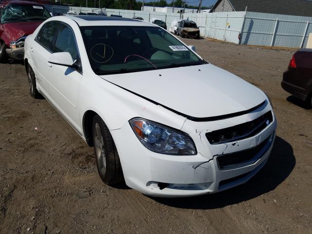 CHEVROLET MALIBU 1LT 2011 1g1zc5eu8bf386683