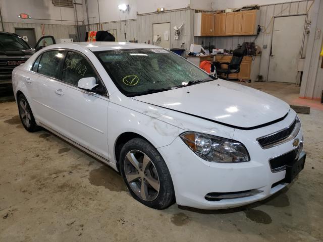 CHEVROLET MALIBU 1LT 2011 1g1zc5eu9bf156621