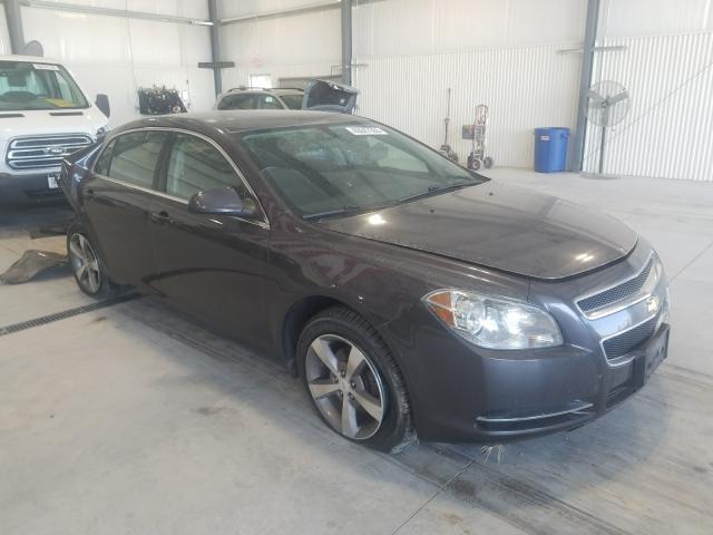 CHEVROLET MALIBU 1LT 2011 1g1zc5eu9bf160149