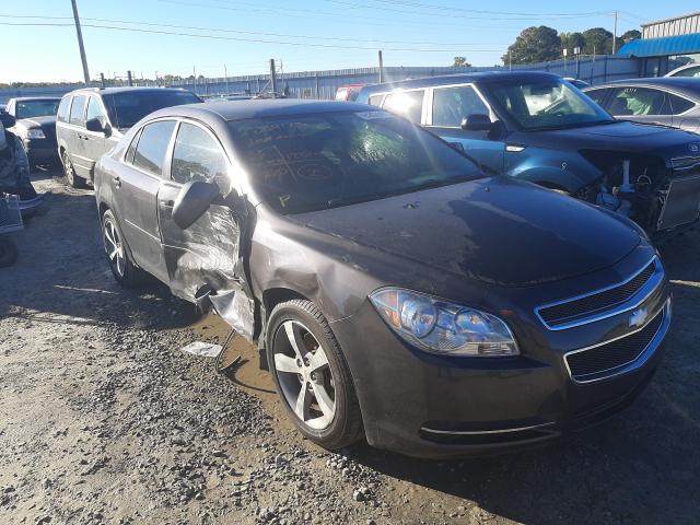 CHEVROLET MALIBU 1LT 2011 1g1zc5eu9bf174052