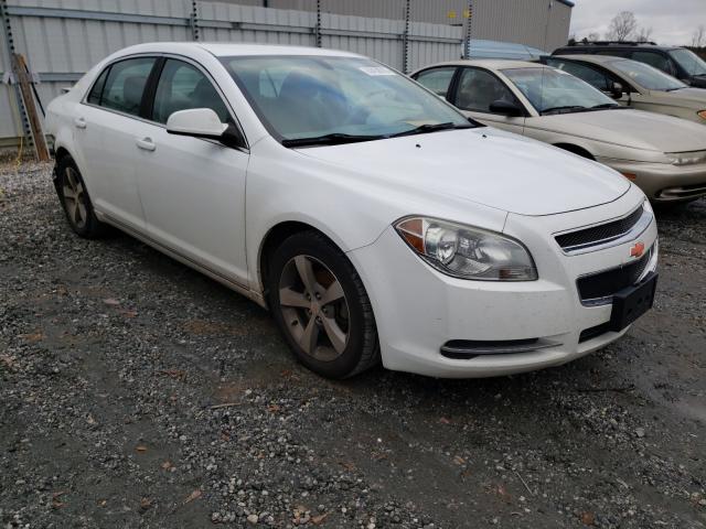 CHEVROLET MALIBU 1LT 2011 1g1zc5eu9bf350520