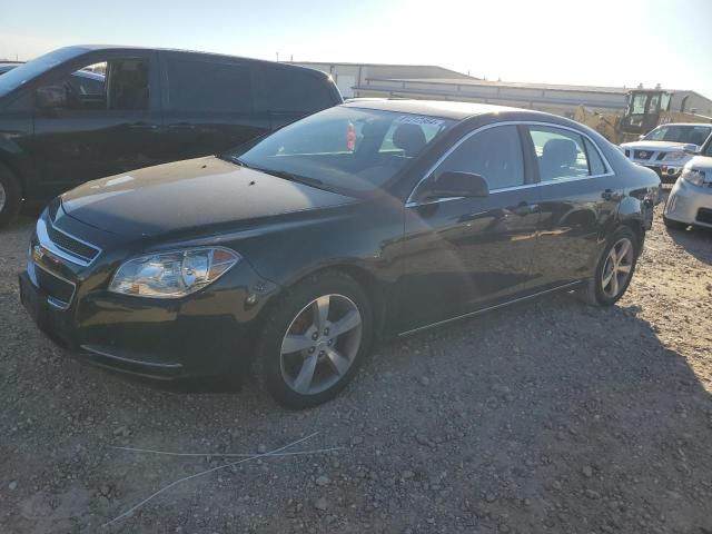 CHEVROLET MALIBU 1LT 2011 1g1zc5euxbf137026