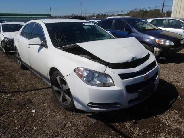 CHEVROLET MALIBU 1LT 2011 1g1zc5euxbf144316