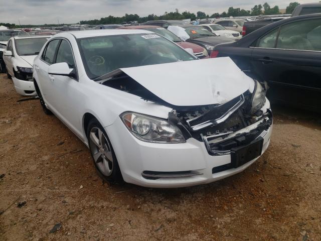 CHEVROLET MALIBU 1LT 2011 1g1zc5euxbf144798