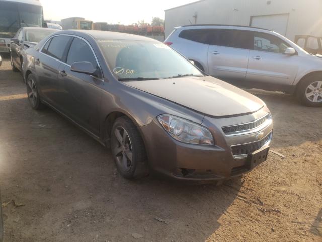 CHEVROLET MALIBU 1LT 2011 1g1zc5euxbf361400