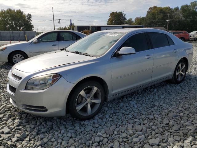 CHEVROLET MALIBU 1LT 2011 1g1zc5euxbf388743