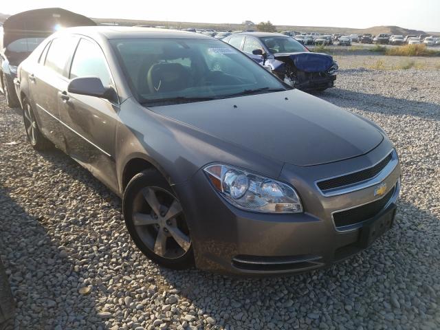 CHEVROLET MALIBU 1LT 2011 1g1zc5euxbf395501