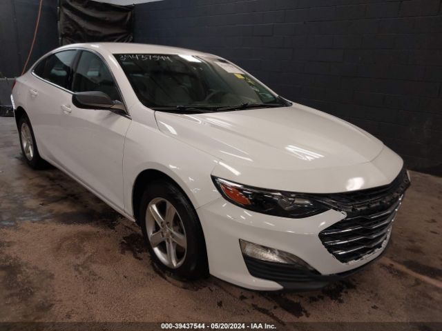 CHEVROLET MALIBU 2019 1g1zc5st0kf157703