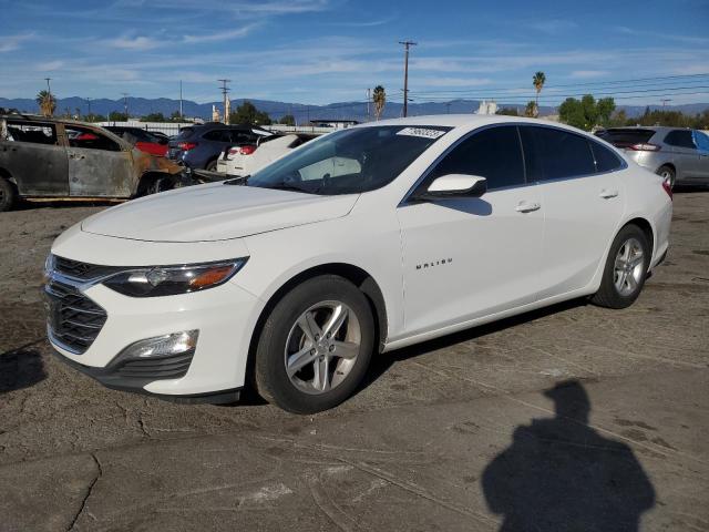 CHEVROLET MALIBU 2020 1g1zc5st0lf148114