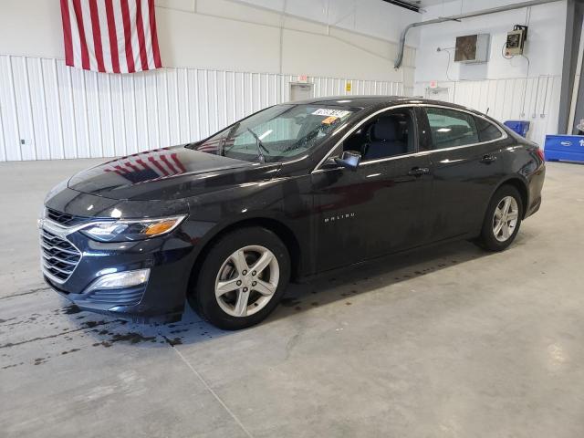 CHEVROLET MALIBU LS 2024 1g1zc5st1rf107208