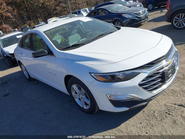 CHEVROLET MALIBU 2019 1g1zc5st2kf195899