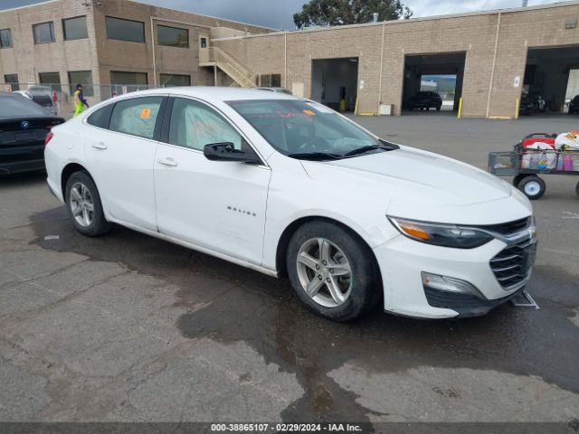 CHEVROLET MALIBU 2019 1g1zc5st6kf138671