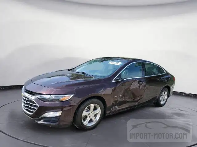 CHEVROLET MALIBU 2020 1g1zc5st6lf106093