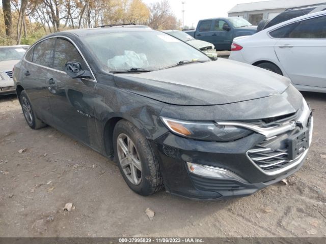 CHEVROLET MALIBU 2019 1g1zc5st7kf180525