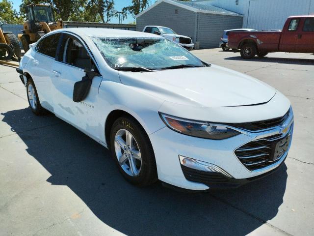 CHEVROLET MALIBU LS 2020 1g1zc5st7lf115479