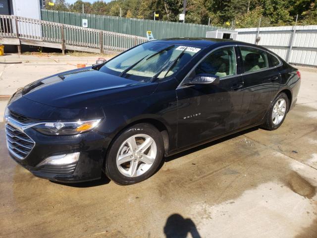 CHEVROLET MALIBU LS 2023 1g1zc5st7pf184744