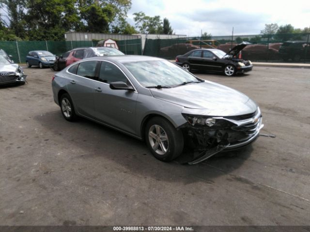 CHEVROLET MALIBU 2024 1g1zc5st8rf125866