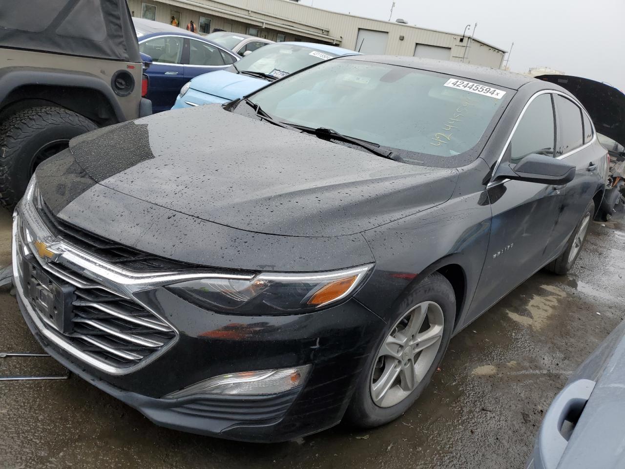 CHEVROLET MALIBU 2019 1g1zc5st9kf181465