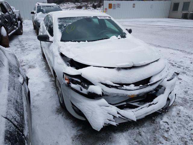 CHEVROLET MALIBU LS 2019 1g1zc5stxkf182141