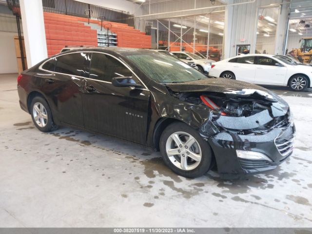 CHEVROLET MALIBU 2019 1g1zc5stxkf185458